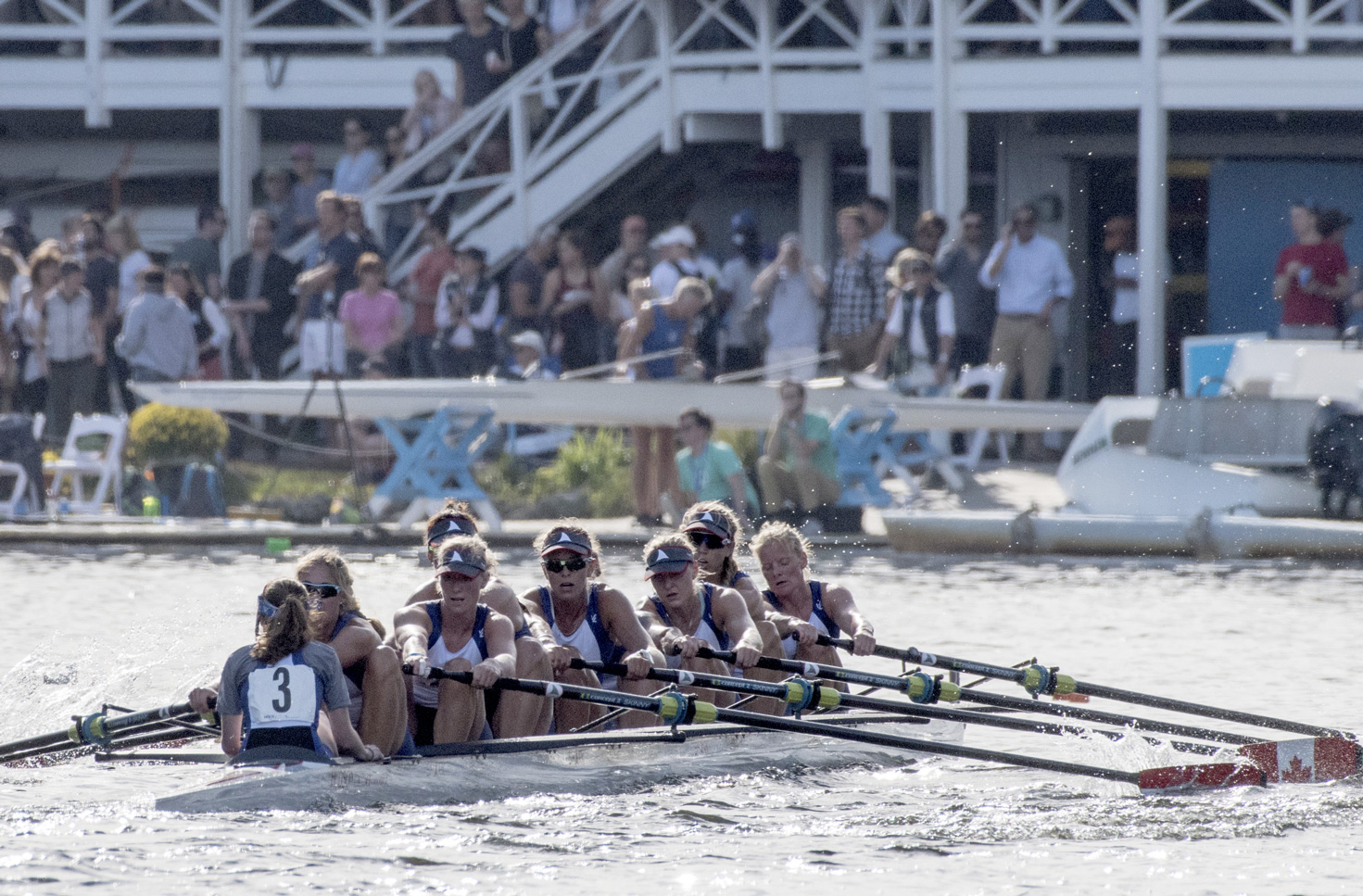 2017 HOCR Great W8+